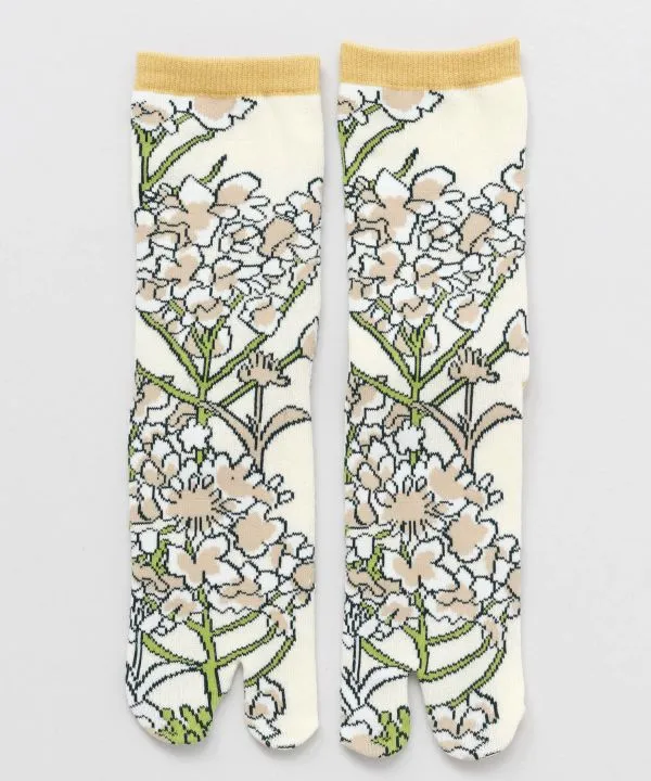【ご紹介します！安心の日本製！「四季シリーズ」足袋型くつ下23～25cm 菜の花】24CM中丈