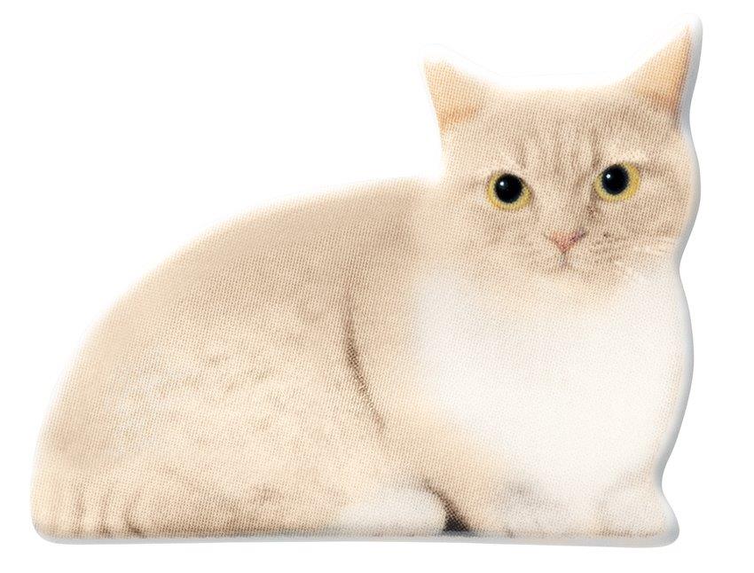 【ご紹介します！！リアルな猫たちが転写された陶器シリーズです！】リアルキャット箸置き  マンチカン