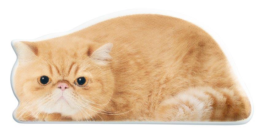 【ご紹介します！！リアルな猫たちが転写された陶器シリーズです！】リアルキャット箸置き  エキゾチック