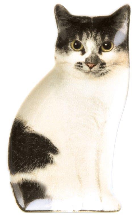 【ご紹介します！！リアルな猫たちが転写された陶器シリーズです！】リアルキャット豆皿  ミックス