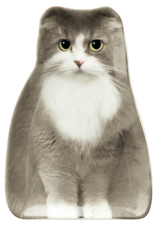 【ご紹介します！！リアルな猫たちが転写された陶器シリーズです！】リアルキャット豆皿  スコティッシュ