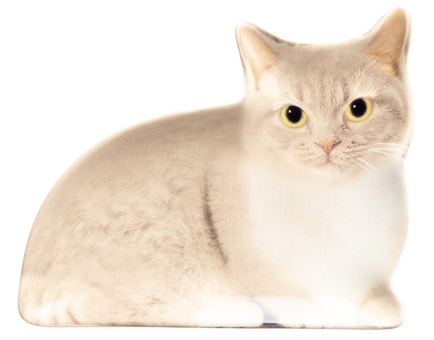 【ご紹介します！！リアルな猫たちが転写された陶器シリーズです！】リアルキャット豆皿  マンチカン