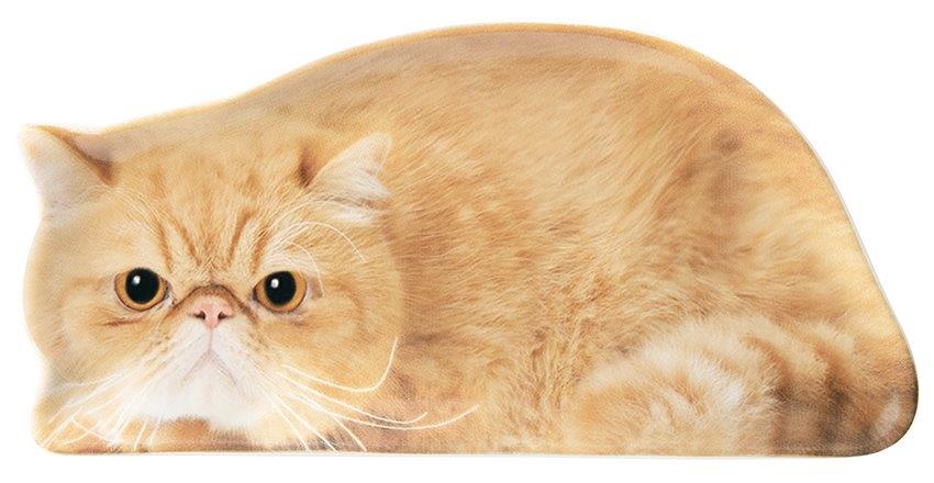 ご紹介します！！リアルな猫たちが転写された陶器シリーズです！】リアルキャット豆皿 エキゾチック 和雑貨卸問屋