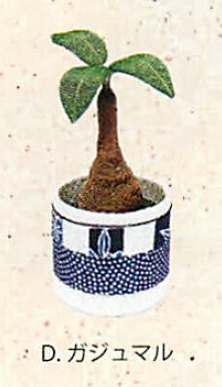 【信頼の日本製】かわいい和雑貨 観葉植物 ちりめんハッピーグリーン（5種） D.ガジュマル