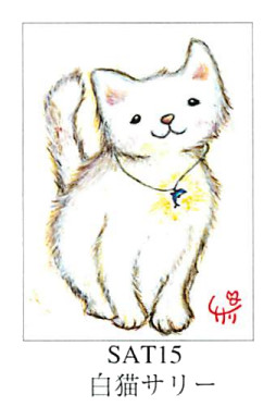 【ご紹介します！ほんわりあたたかい作風の絵描きサリーのリミテッドエディション額装】白猫サリー